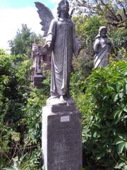 IMG20200708134930