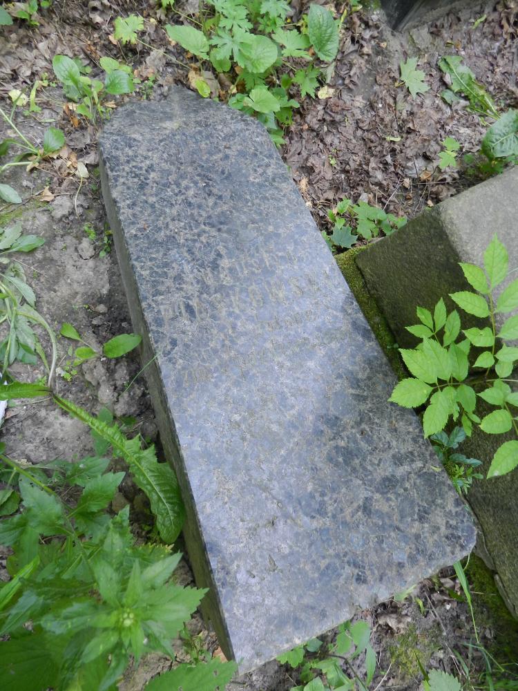 DSCN7754