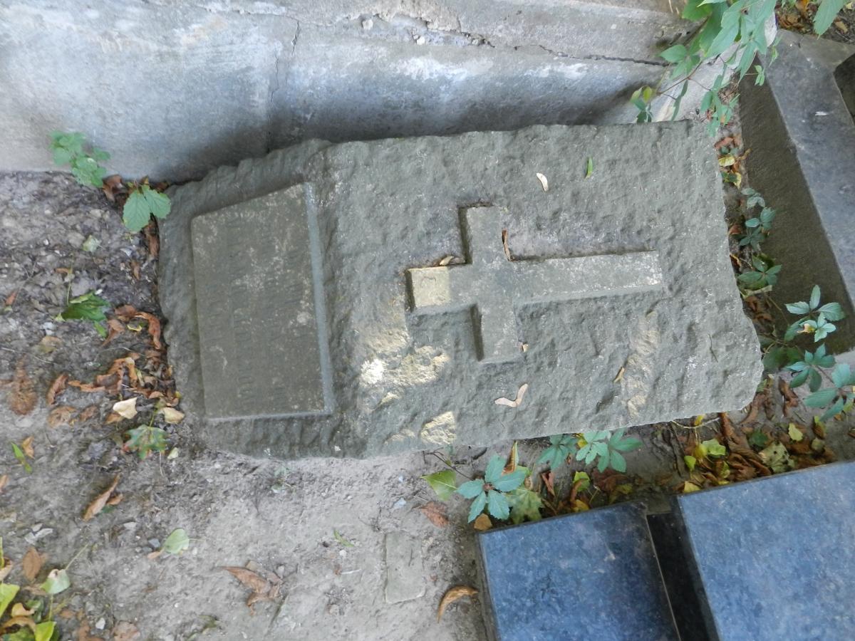 DSCN3479