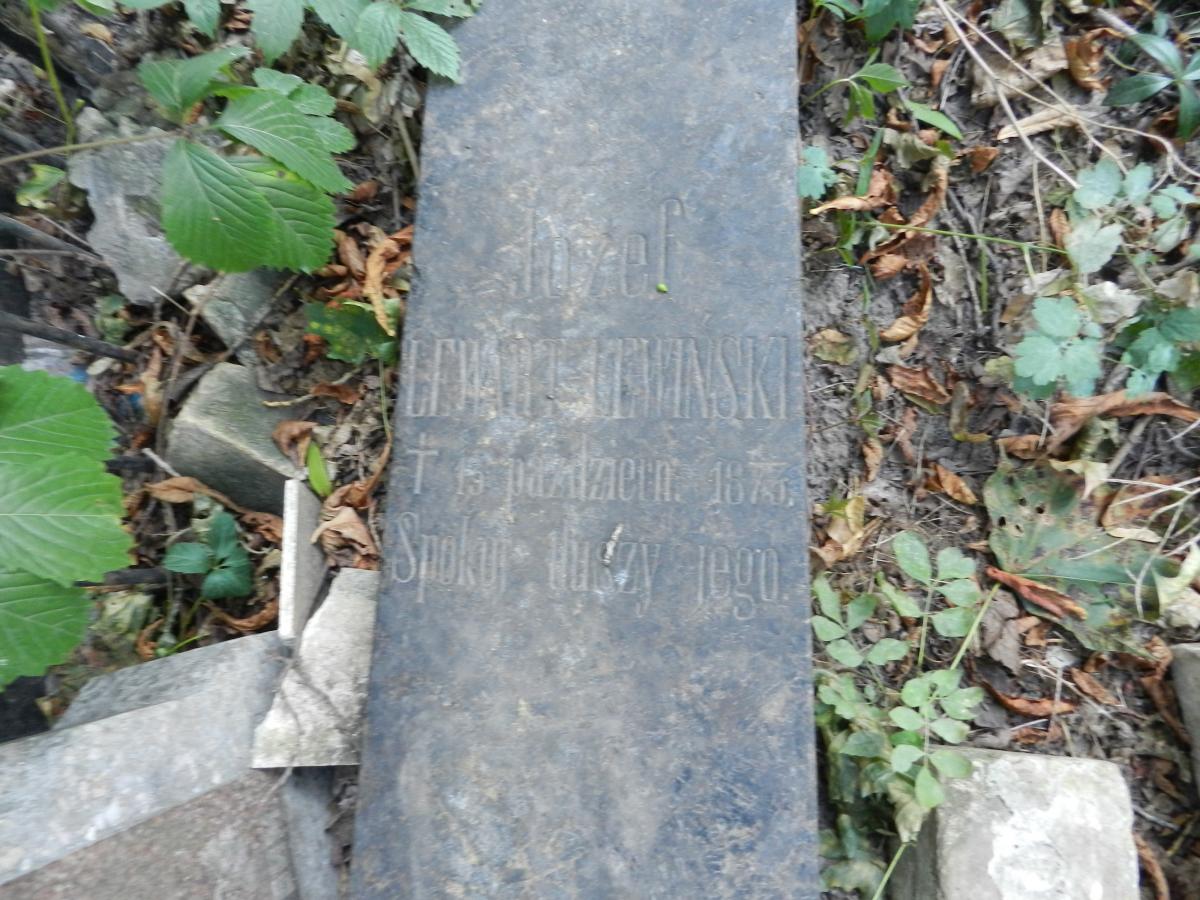 DSCN3506
